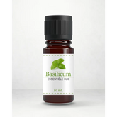 Dark amber glasfles van etherische olie -basilicum met zwarte ribbeldeksel